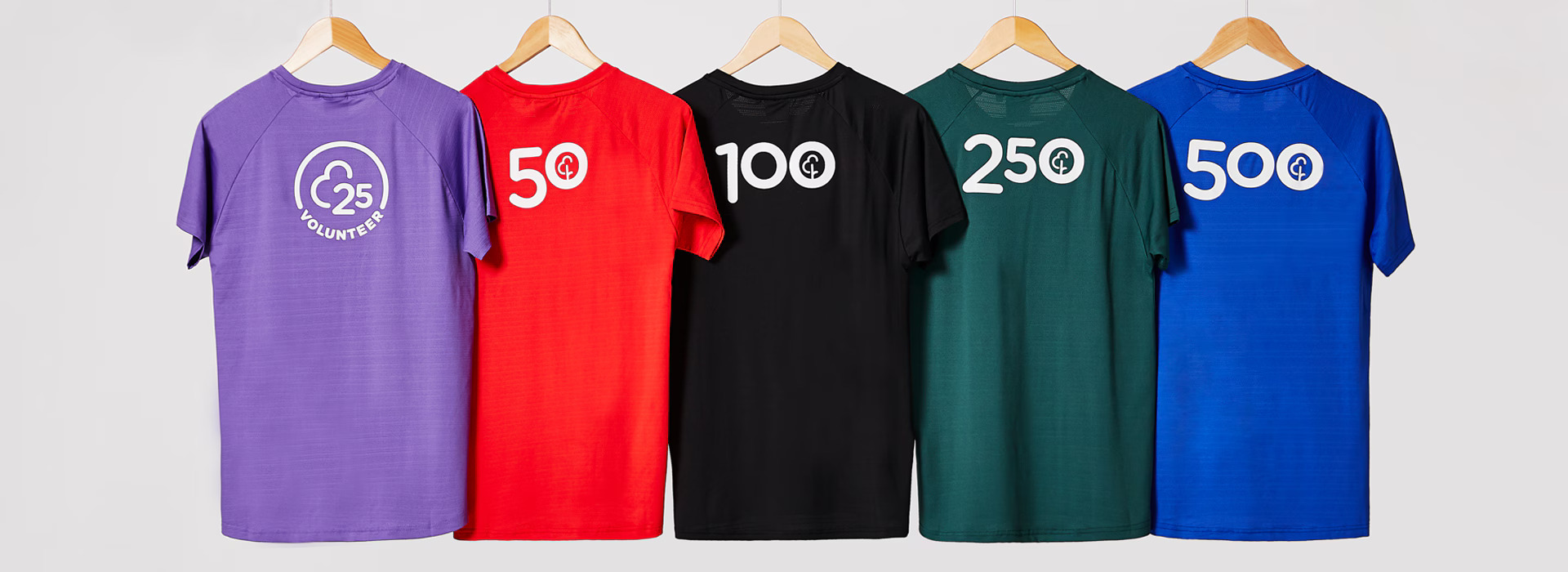 100 Volunteer Milestone